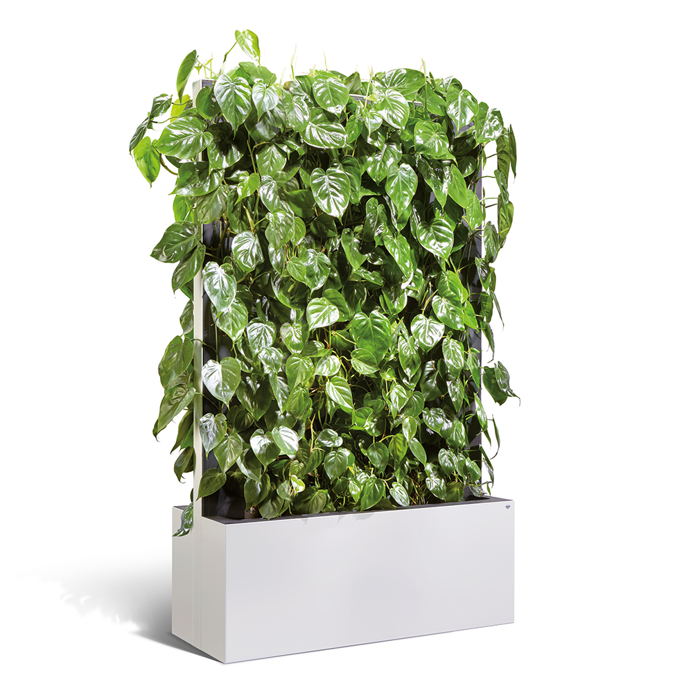 C+P Éléments pour haies mobiles