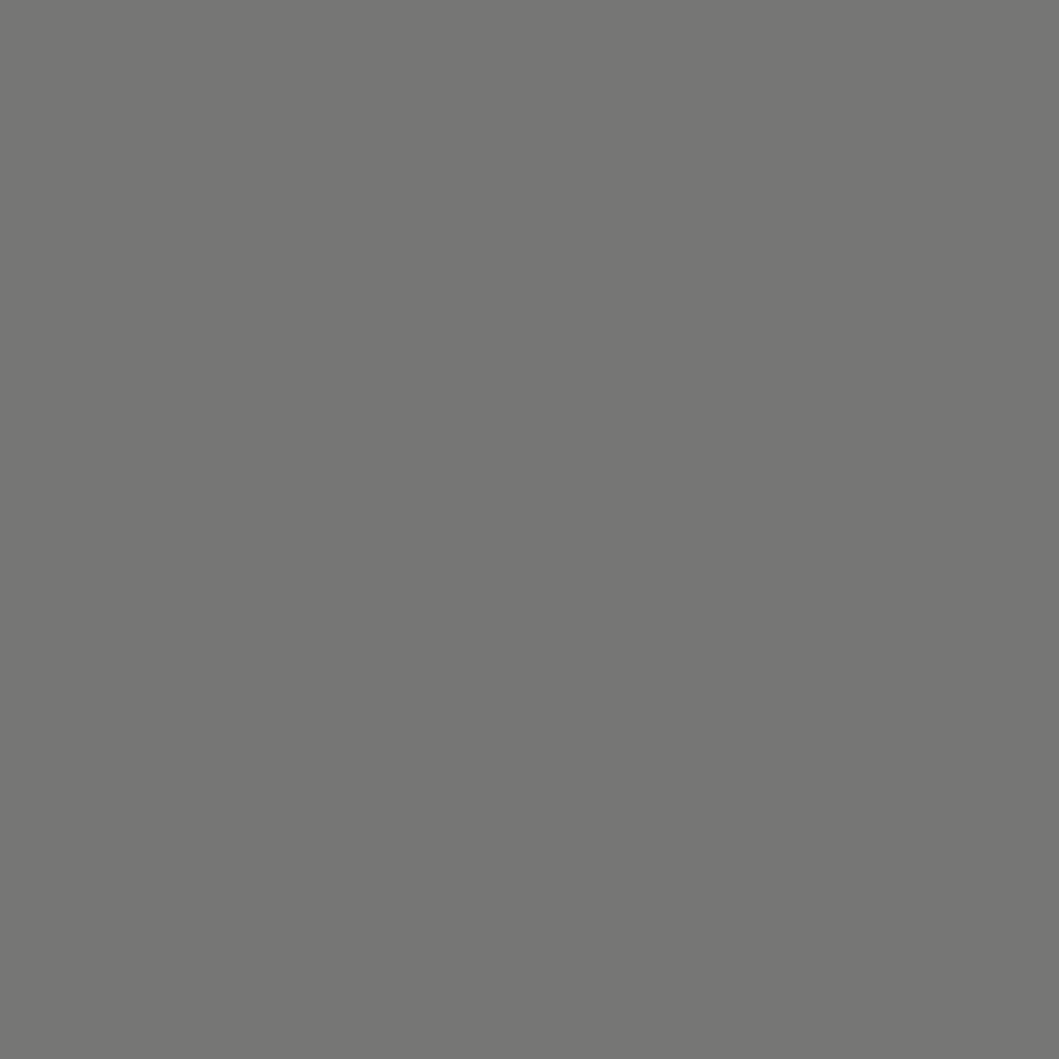 RAL 0005000 Gris acier