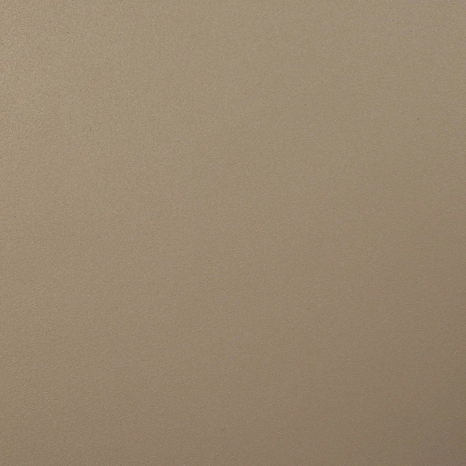 RAL 1019 Beige grisâtre